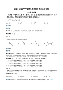 10，山东省淄博市高新区2023-2024学年七年级下学期期中数学试题