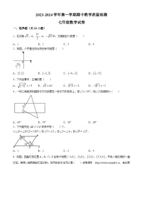 11，河南省安阳市北关区安阳市第八中学2023-2024学年七年级下学期4月期中数学试题