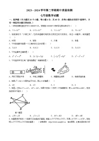 11，山东省济南市历城区2023-2024学年七年级下学期期中数学试题(无答案)