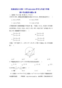 12，海南省海口市第一中学2023-2024学年九年级下学期期中考试数学试题（B卷）