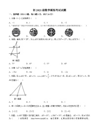 13，2024年陕西省西安市曲江第一中学中考模拟数学试题(无答案)