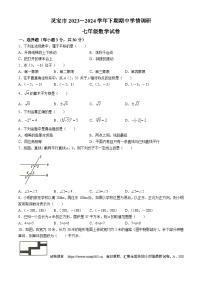 16，河南省三门峡市灵宝市2023-2024学年七年级下学期期中数学试题