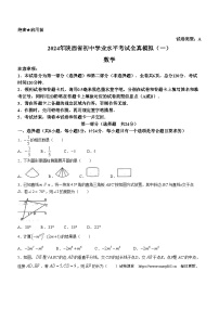 17，2024年陕西省初中学业水平考试全真模拟（一）数学试题(无答案)