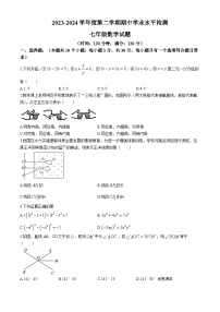 22，山东省聊城市莘县2023-2024学年七年级下学期期中数学试题