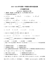 25，湖北省邯郸市成安县2023-2024学年八年级上学期期末数学试题(无答案)