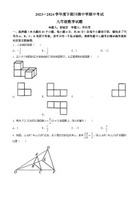 01，重庆市长寿区长寿川维中学校2023-2024学年九年级下学期期中数学试题(无答案)