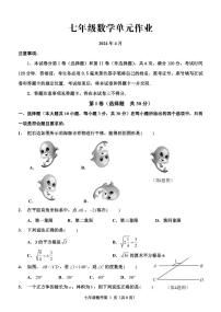 02， 山东省临沂市沂水县2023-2024学年七年级下学期期中考试数学试题