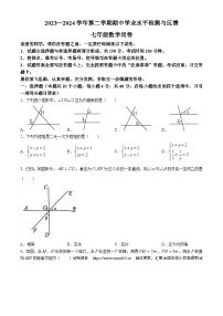 04，山东省聊城市阳谷县2023-2024学年七年级下学期期中数学试题(无答案)