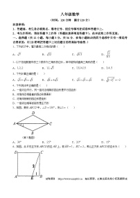 06，广西南宁市邕宁区民族中学2023-2024学年八年级下学期期中数学试题(无答案)