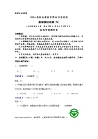 09，2024年湖北省初中学业水平考试数学模拟试卷(八)