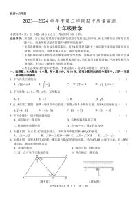 09，广东省阳江市江城区2023-2024学年七年级下学期期中考试数学试题