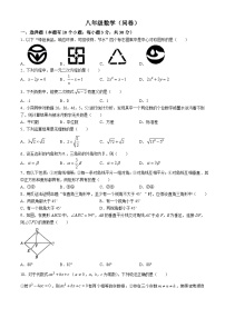 13，浙江省杭州市采荷中学2023-2024学年八年级下学期期中数学试题(无答案)