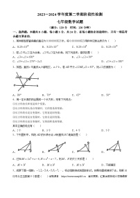 20，山东省青岛市青岛大学附属中学2023-2024学年七年级下学期期中数学试题