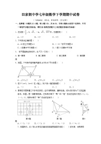 20，四川省自贡市田家炳中学2023-2024学年七年级下学期期中考试数学试题