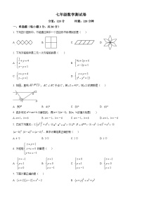 湖南省邵阳市邵东市振华中学2023-2024学年七年级下学期期中数学试题（原卷版+解析版）