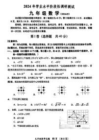 01，2024年山东省济南市槐荫区九年级中考二模数学试题