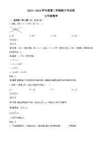 05，河南省商丘市虞城县2023-2024学年七年级下学期期中数学试题