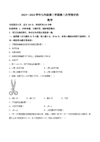 河北省邢台市威县第三中学2023-2024学年七年级下学期期中数学试题（含解析）