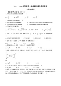 甘肃省定西市临洮县2023-2024学年八年级下学期期中数学试题