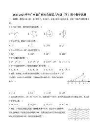 2023-2024学年广东省广州市花都区八年级（下）期中数学试卷（含解析）