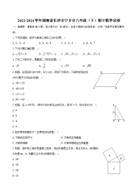 2023-2024学年湖南省长沙市宁乡市八年级（下）期中数学试卷（含解析）