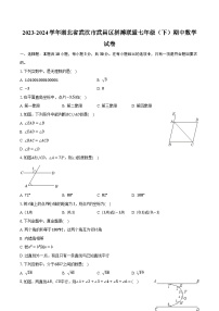 2023-2024学年湖北省武汉市武昌区拼搏联盟七年级（下）期中数学试卷（含解析）