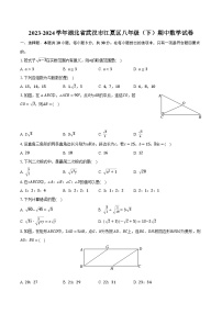 2023-2024学年湖北省武汉市江夏区八年级（下）期中数学试卷（含解析）