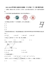 2023-2024学年浙江省嘉兴市嘉善一中七年级（下）期中数学试卷（含解析）