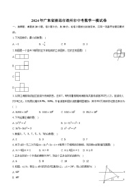 2024年广东省清远市连州市中考数学一模试卷（含解析）