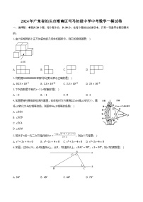 2024年广东省汕头市潮南区司马初级中学中考数学一模试卷（含解析）