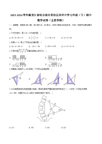 2023-2024学年黑龙江省哈尔滨市香坊区风华中学七年级（下）期中数学试卷（五四学制）（含解析）