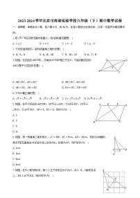 2023-2024学年北京市海淀实验学校八年级（下）期中数学试卷（含解析）