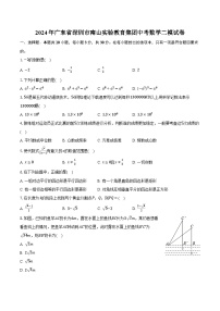 2024年广东省深圳市南山实验教育集团中考数学二模试卷（含解析）