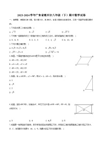 2023-2024学年广东省潮州市八年级（下）期中数学试卷（含解析）