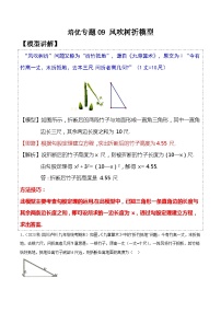 人教版八年级数学下学期题型模型培优专题练专题09风吹树折模型-原卷版+解析