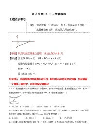 人教版八年级数学下学期题型模型培优专题练专题10出水芙蓉模型-原卷版+解析