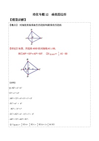 人教版八年级数学下学期题型模型培优专题练专题12垂美四边形模型-原卷版+解析