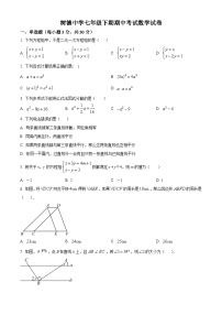 湖南省永兴县树德初级中学2023-2024学年七年级下学期期中数学试题（原卷版+解析版）