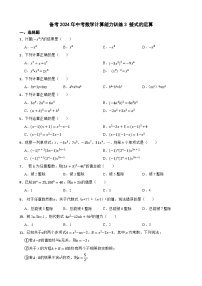 备考2024年中考数学计算能力训练3 整式的运算