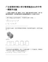 广东省深圳市蛇口育才教育集团2024年中考一模数学试题