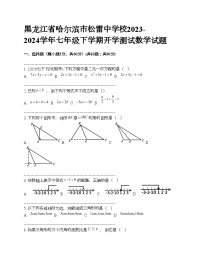 黑龙江省哈尔滨市松雷中学校2023-2024学年七年级下学期开学测试数学试题