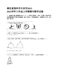 湖北省荆州市石首市2023-2024学年八年级上学期期中数学试卷