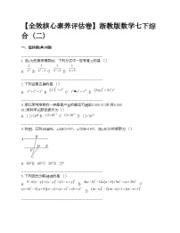 【全效核心素养评估卷】浙教版数学七下综合（二）