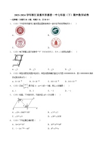 2023-2024学年浙江省嘉兴市嘉善一中七年级（下）期中数学试卷