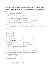 2023-2024学年广东省湛江市经开实验学校八年级（下）期中数学试卷