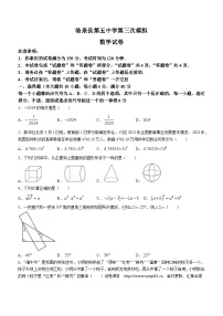 2024年安徽省阜阳市临泉县第五中学中考三模数学试题