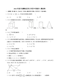 2024年四川省攀枝花市仁和区中考数学二模试卷