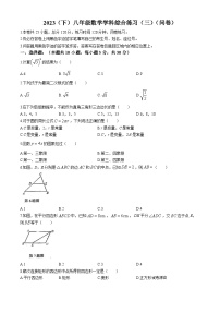 广东省广州市海珠区绿翠现代实验学校2023-2024学年八年级下学期期中数学试题(无答案)