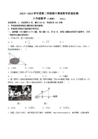 河北省廊坊市霸州市2023-2024学年八年级下学期期中数学试题