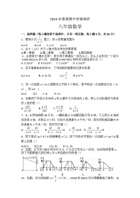 河南省南阳市桐柏县2023-2024学年八年级下学期5月期中数学试题